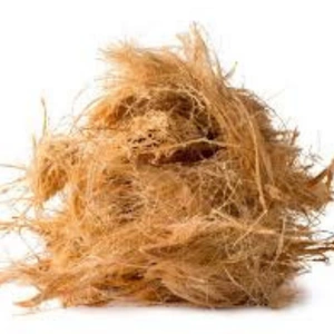 1746794838_Coir Fiber.webp
